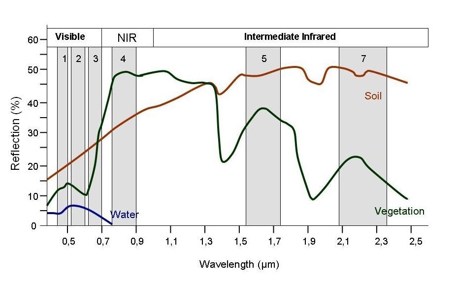 Spektrální zvýraznění Multispektrání snímky jsou pořizovány ve vybraných částech elektromagnetického spektra (zde 7).
