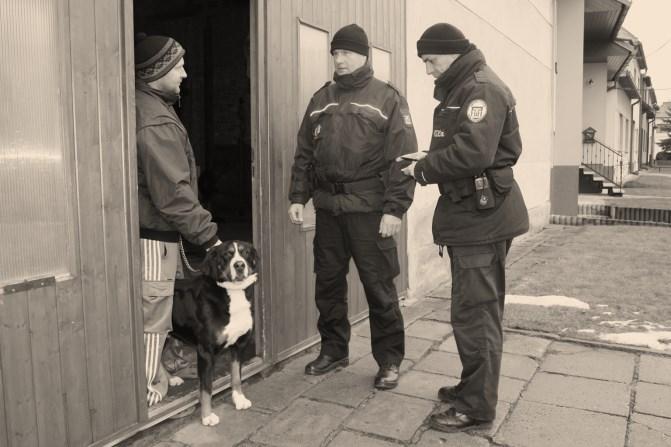 PŘEHLED ČINNOSTI AKCE 2015 Z důvodu platnosti nařízení města, které zakazuje podomní a pochůzkový prodej, byly prováděny jednak kontroly parkovišť u supermarketů, kde se pokoušejí především cizí