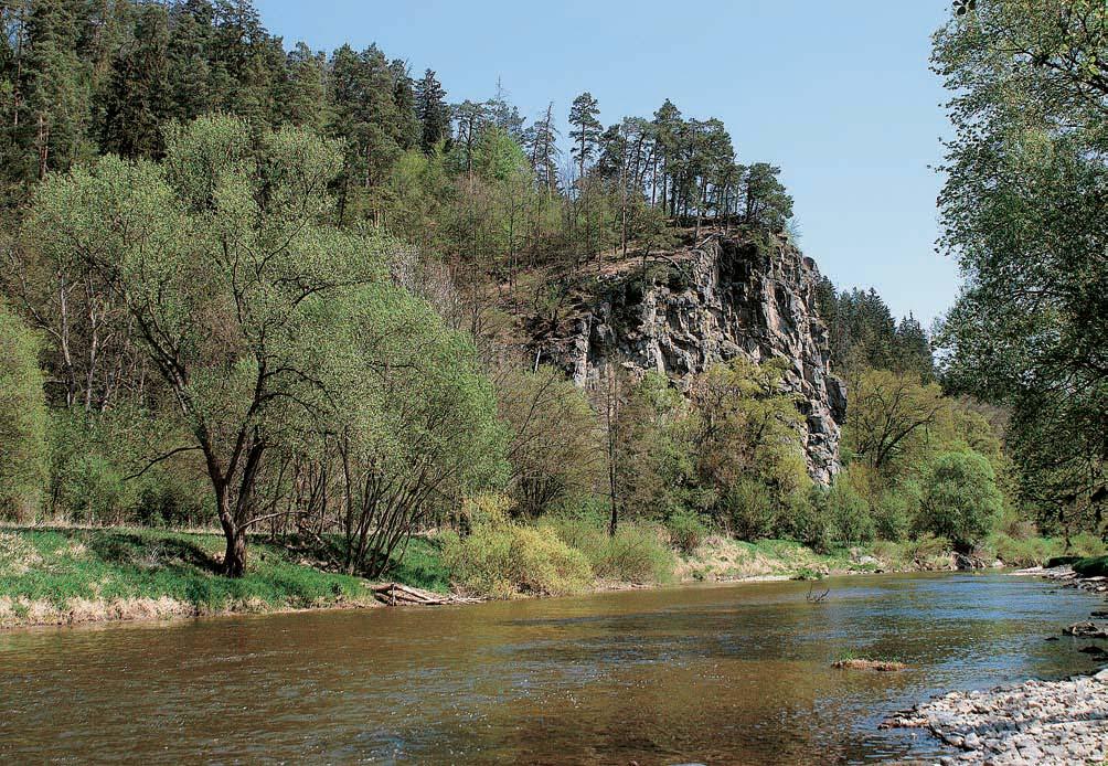 60-656_ZN_uzemi..008 5:0 Stránka 60 Brnûnsko Skalní defilé metamorfovan ch hornin vratûnínské jednotky. RÛÏe malokvûtá (Rosa micrantha) je silnû ohroïen druh, rostoucí na lokalitû velmi vzácnû.