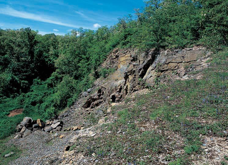 60-656_ZN_uzemi..008 5:05 Stránka 6 Okres Znojmo památka Pod ibeniãním kopcem Lev jiïnû a jihozápadnû exponovan svah zafiíznutého údolí potoka Kfiepiãka a pfiilehlá plo ina nad ním pod k.