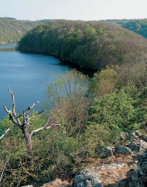 V nûm jsou zastoupeny pfieváïnû biotitické migmatitové ruly ãasto s páskovanou 50 m V mûra:,88 ha Vyhlá eno: 996 Pfiirozená lesní i nelesní spoleãenstva na skalnat ch srázech nad Vranovskou