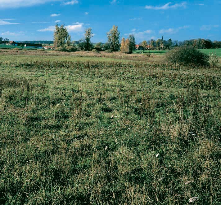 od obce Uherãice. Uherãice GEOLOGIE Horninové podloïí tvofií jemnozrnné biotitické pararuly s vloïkami svûtle ed ch tremolitick ch mramorû, rulov ch kvarcitû a erlánû vratûnínské jednotky moravika.