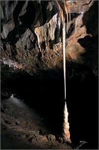 Obr. 7 Krápník ve tvaru jehly v Punkevních jeskyních (www.punkevni-jeskyne.cz) Správa CHKO se snaží regulovat návštěvnost a to především v nejzatíženějších oblastech.