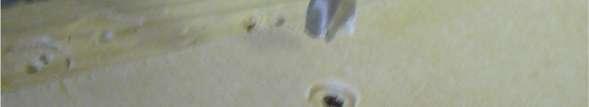 3 mm (celkem 8