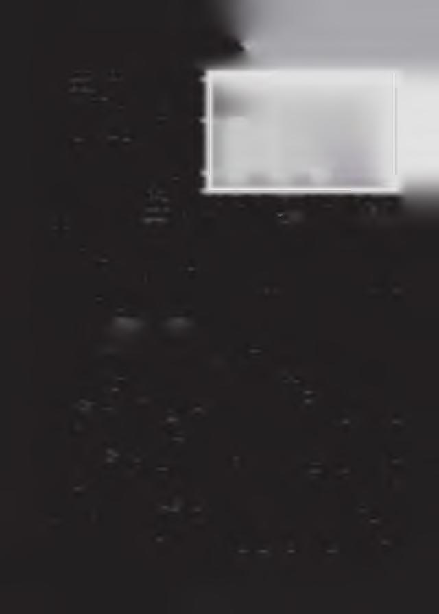 z části (4x) i celé (1x), fragmenty spálené do běla (1x) i fragmenty spálené s různou intenzitou (2x, v části fragmentu spálené například do černa, v jiné části téhož fragmentu spálené například do