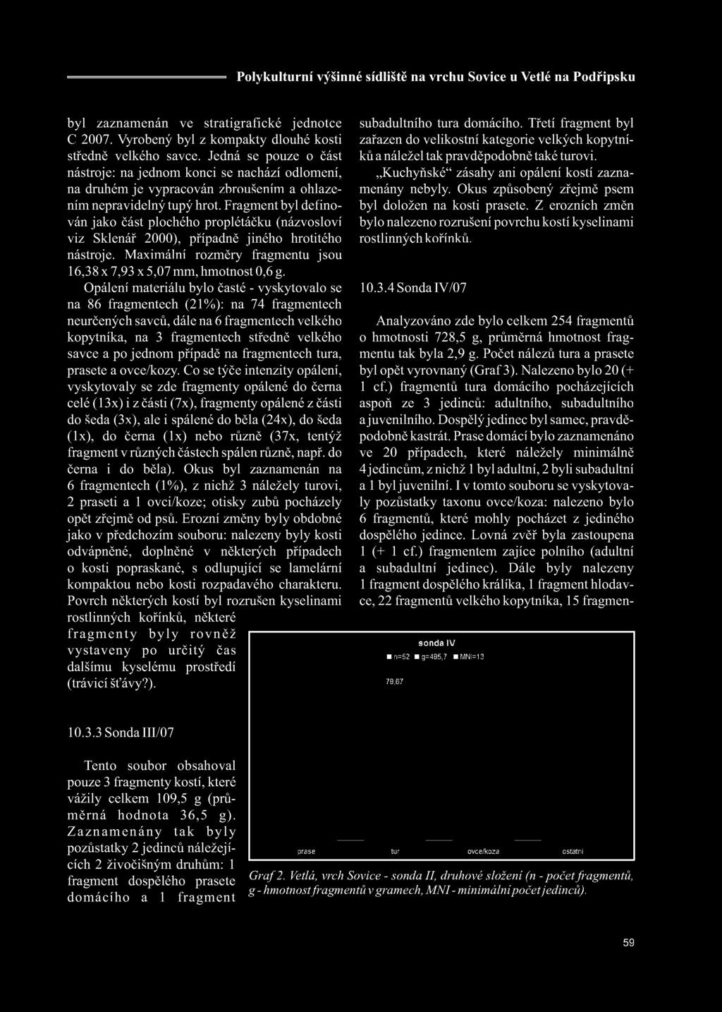 Fragment byl definován jako část plochého proplétáčku (názvosloví viz Sklenář 2000), případně jiného hrotitého nástroje. Maximální rozměry fragmentu jsou 16,38 x 7,93 x 5,07 mm, hmotnost 0,6 g.