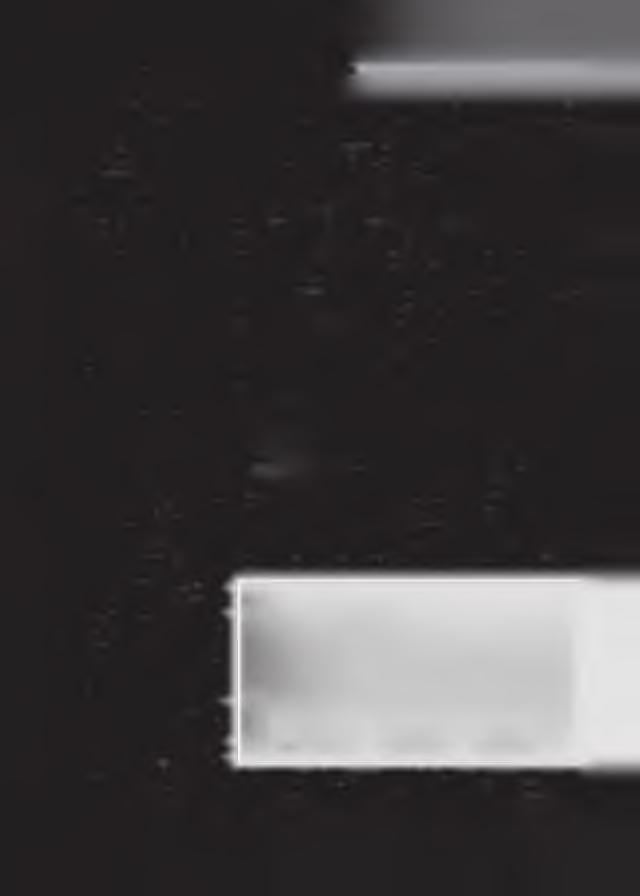 tů středně velkých savců a 165 fragmentů blíže neurčených savců. Z ptačích nálezů byl objeven pouze 1 fragment dospělého kura domácího.
