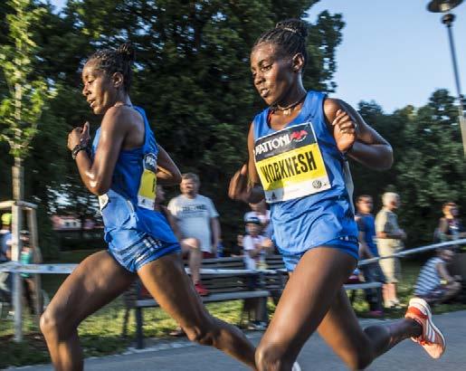 HLAVNÍ PARTNEŘI adidas x MAAPPI eventová kolekce Při příležitosti RunCzech běžecké série letos adidas přinese limitovanou eventovou kolekci triček s potiskem map od třináctiletého Matěje Hoška,