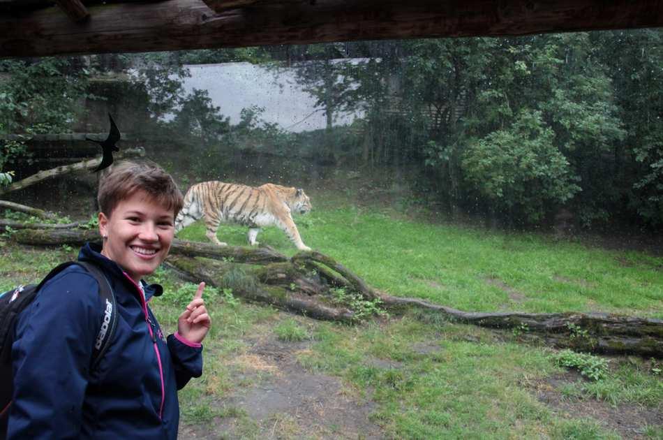15.5 Fiktivní firmy Ing. Alena Chlustinová V průběhu měsíce října 2017 žáci 3. B ob