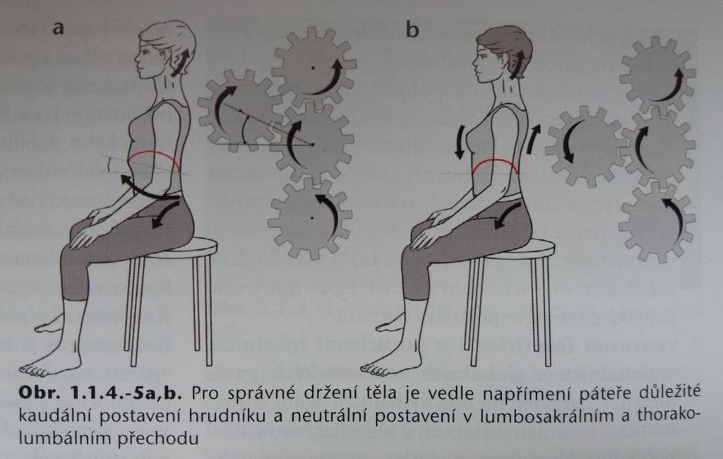 konceptu a metodiky DNS. Obrázek č.