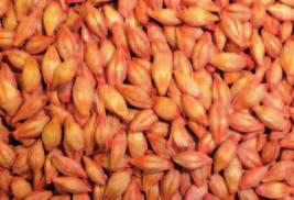 Charakteristika pokusných lokalit a metodika pokusů Pro správné rozhodnutí agronoma jsou nutné zkušenosti, které vychází z mnoha oborů.