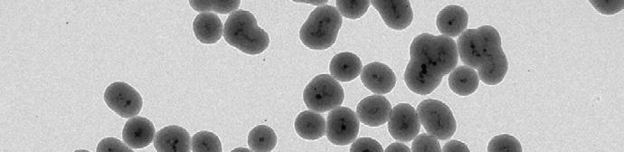 Charakterizace nanomateriálů Mikrostruktura Chemické složení