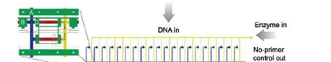 µtas: PCR