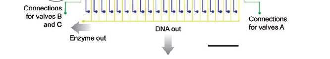 Biomol.