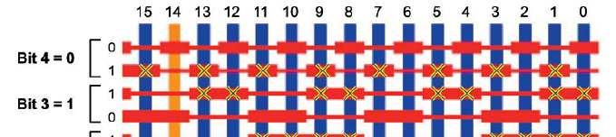 µtas: PCR