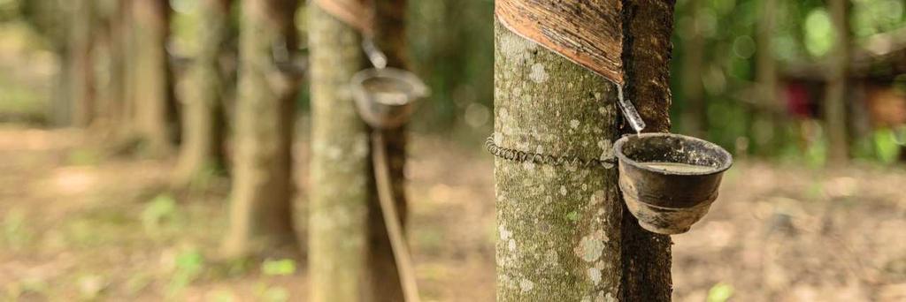 II. Podle typu řetězení molekul - (molekulární struktury). Způsob řetězení polymerů závisí na počtu míst v molekule, která jsou schopna chemicky reagovat - vázat vedlejší molekulu.
