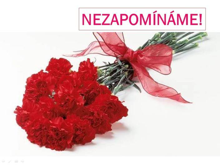 které zahynuly v důsledku účasti v odboji nebo vojenské operaci v době války.