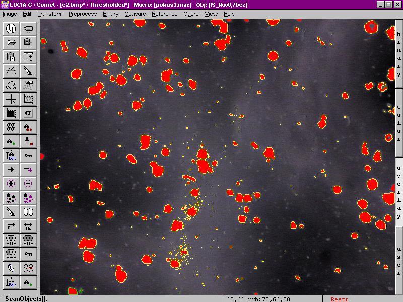Image Analysis hodnocení velikosti a