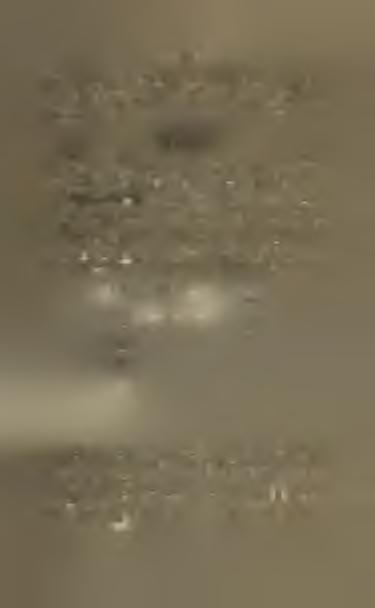 Nánosy v Balcarově skále skládají se z vrstev alluvialních a diluvialních.