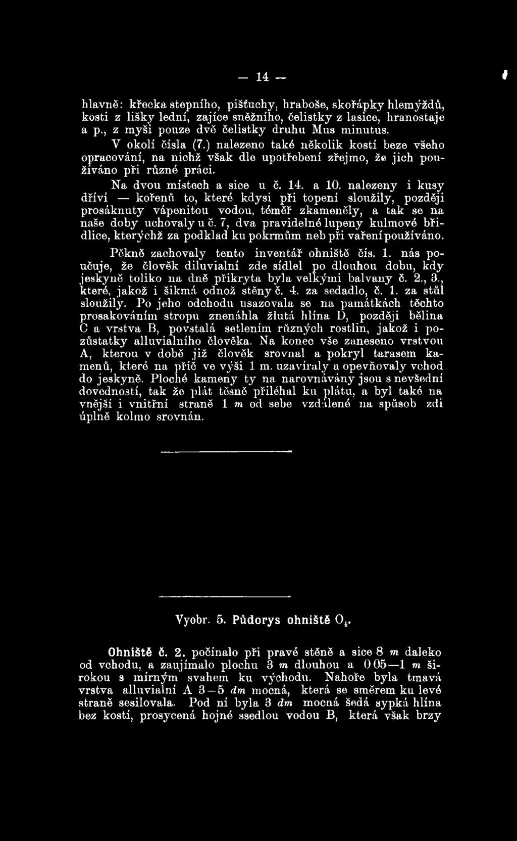 nalezeny i kusy dříví kořenů to, které kdysi při topení sloužily, později prosáknuty vápenitou vodou, téměř zkameněly, a tak se na naše doby uchovaly u ě.