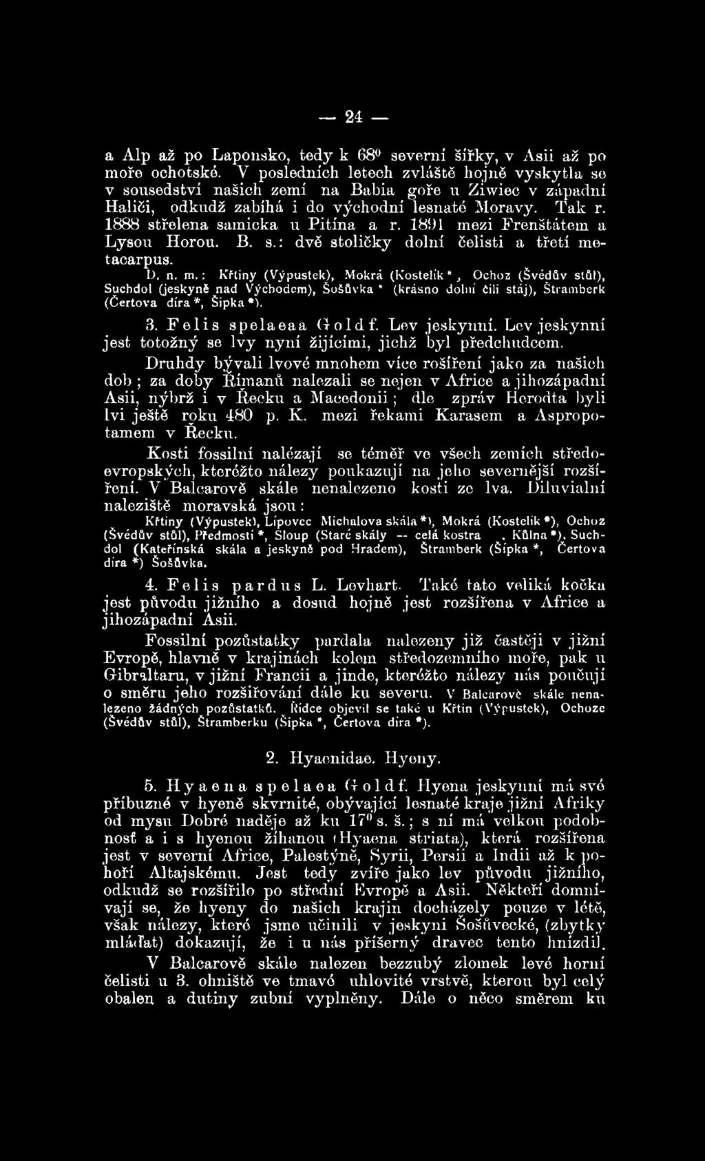 1891 mezi Frenštátem a Lysou Horou. B. s.: dvě stoličky dolní čelisti a třetí me- tacarpus. D. n. m.: Křtiny (Výpustek), Mokrá (K ostelík*, Ochoz (Švédův stůl), Suchdol (jeskyně nad Východem), Šošůvka * (krásno dolní čili stáj), Štramberk (čertova díra *, Šipka *).