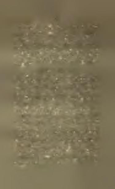Z důležitého tohoto nálezu lze souditi, že hyena jeskynní ještě ku konci diluvialní doby na Moravě žila a byla předmětem lovu palaeolithickóho člověka. D. n. m.