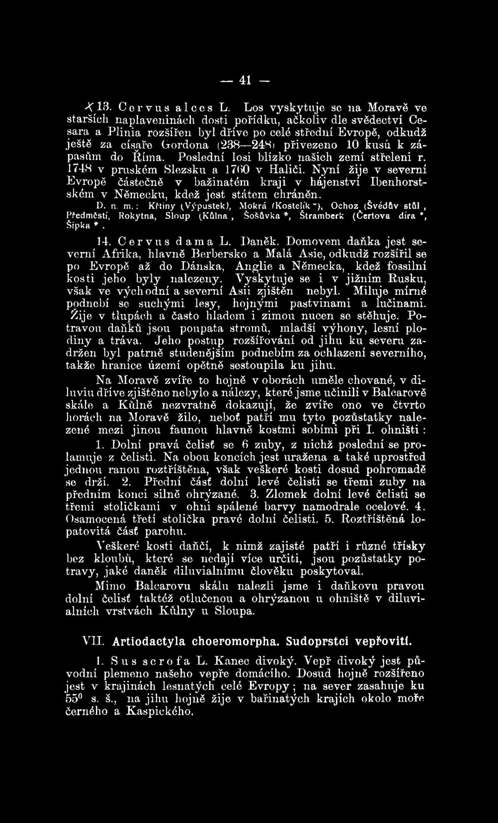 přivezeno 10 kusů. k zápasům do Říma. Poslední losi blízko našich zemí střeleni r. 1748 v pruském Slezsku a 1760 v Haliči.