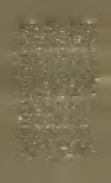 Metacarpň celých 1004, zlomků 130, humerů 20 celých, femury, 19 celých a 70 konců, furca, 11Ó zlomků, sternum, přes 20 zlomků, 5 necelých lebek, četné horní i dolní čelisti, tibie, ulny a rádie v