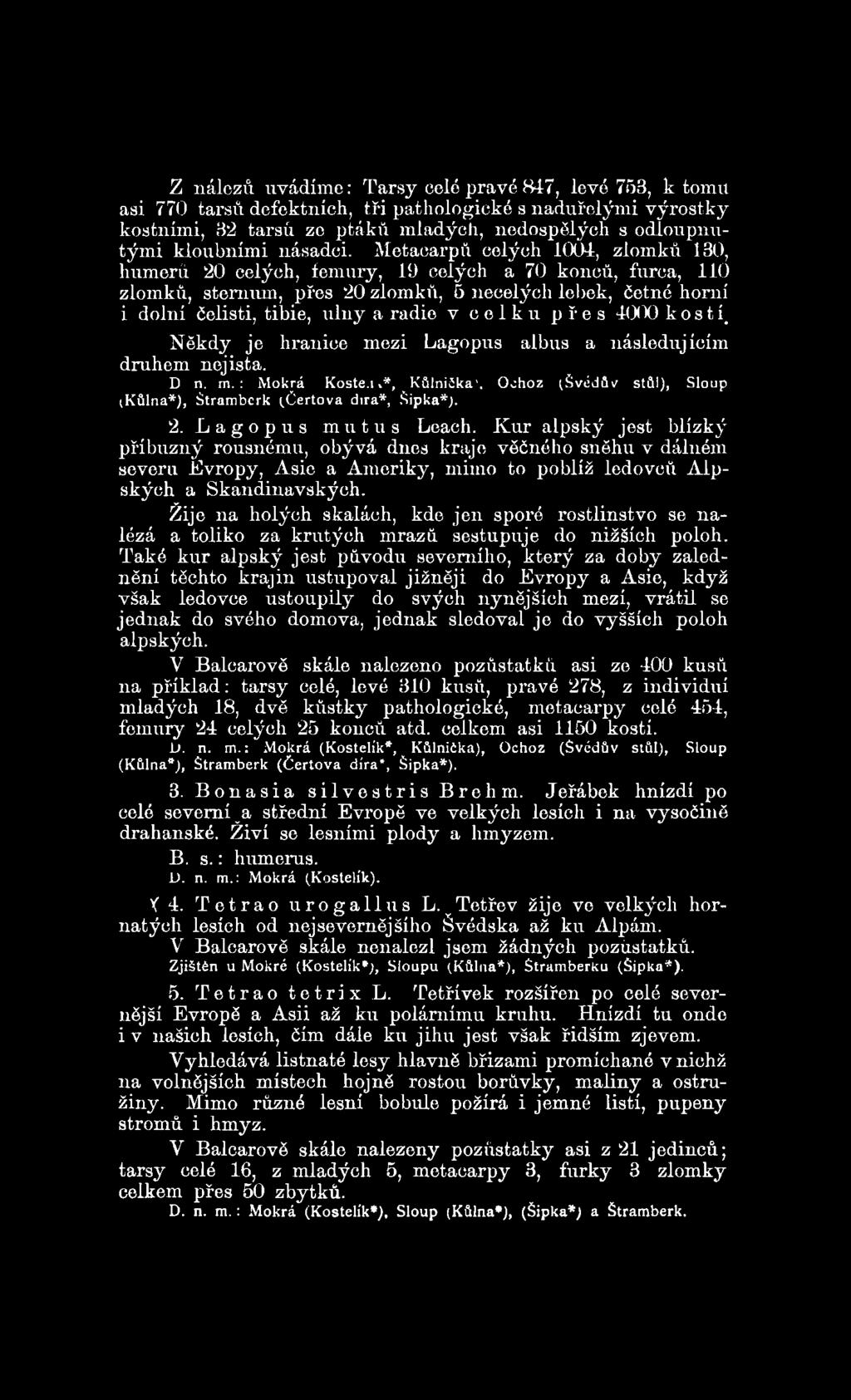 w*, Kůlnička', Ochoz ^Švédův stůl), Sloup (Kůlna*), Štramberk ^Čertova díra*, Šipka*;. 2. Lagopus mutus Leach.