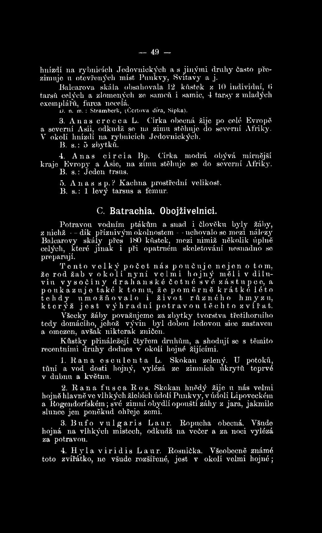 Obojživelníci.