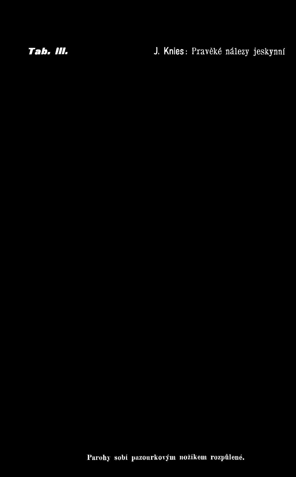 jeskynní