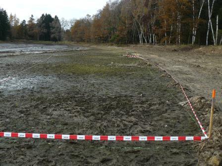 2012 (vpravo). Stal se však pravý opak zamýšleného. Těžká ryba svojí činností obnažila některé písečné části dna a vytvořila tak podmínky pro rozvoj pobřežnice (Obr. 2).