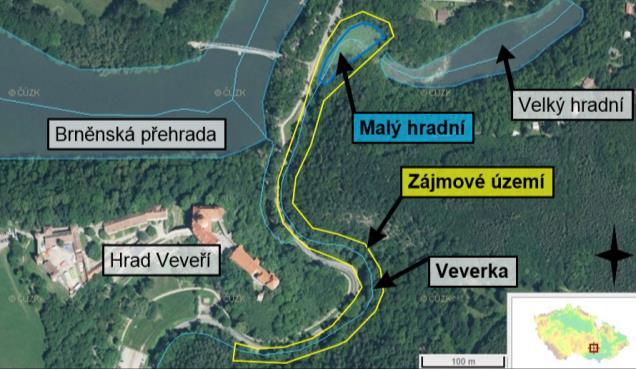 Rybníky naše dědictví i bohatství pro budoucnost a zarůstá náletem. Primární smysl stavby je obnovení biotopu vhodného pro život organismů a rostlin.