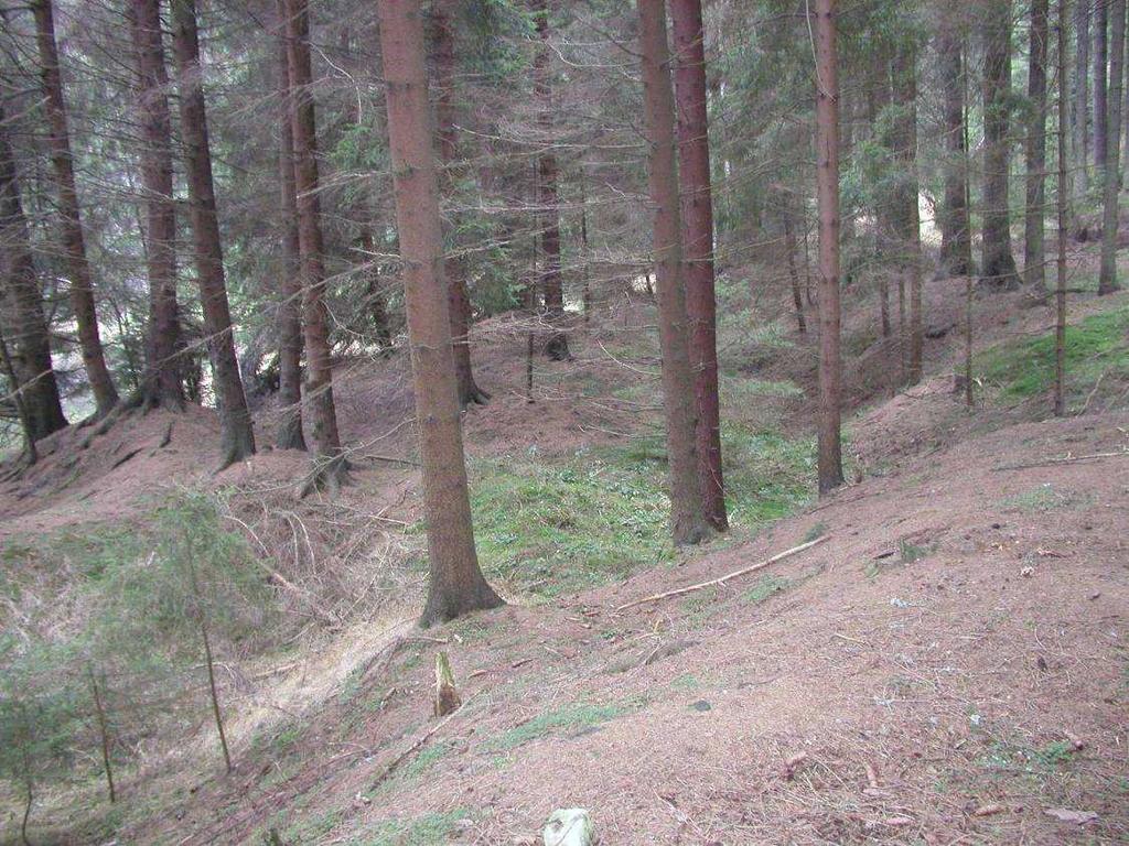 Vřesník (Wreznik) je