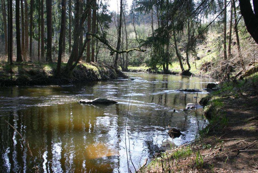 Řeka Jihlava u Plander. Pod jménem Giglaue v listině papeže Honoria III. je míněna právě tato část toku, mezi Kostelcem u Jihlavy a Starými Horami. Foto P. Hejhal, duben 2009. 4.