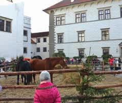 Decentní setkání se však v důsledku náhod a nedorozumění, vznikajících kvůli chorobně žárlivému sousedovi a jeho mladičké manželce, mění ve sled zdánlivě absurdních situací.