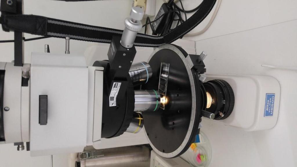 Při výpočtu modulu pružnosti jsem dospěl k závěru, že se jedná o vysoce hustotní polyetylen (HDPE) s modulem pružnost 701,5 MPa. Modul pružnosti u polypropylenu je E = (952,4 ± 18,8) MPa.