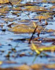 drought management plan in the Czech