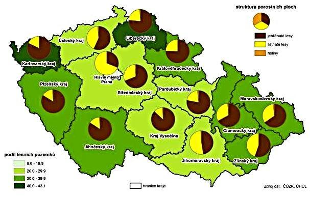 Mezinárodní den lesů byl vyhlášen na Valném shromáždění OSN v prosinci roku 2012 a poprvé se slavil 21. března 2013. Důvodem vyhlášení byla snaha zvýšit povědomí o významu lesních ekosystémů pro tzv.