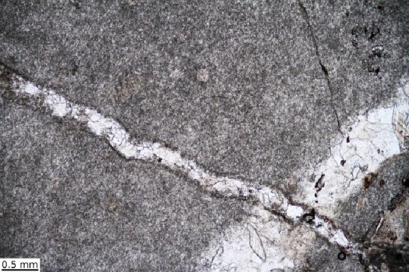 3 Výsledky 3.1 Mikropetrografie Jedná se o jemně krystalický sparitický vápenec.