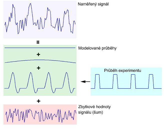 parametrů, kterou dále zpracováváme. Největším problémem je konstrukce modelové matice. Sloupce matice představují jednotlivé regresory, řádky pak skeny.