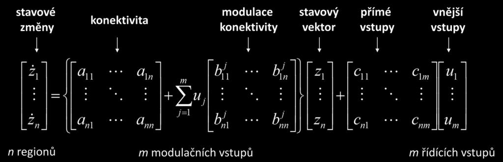 mění synaptické odezvy v cílové oblasti na základě vlivu ostatních oblastí v mozku, zatímco řídící vstupy (matice C) vyvolávají přímé synaptické odezvy v dané oblasti [9].