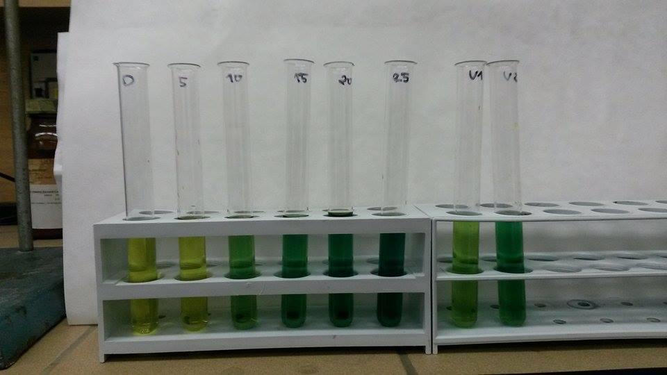 obrázek 11: Orientační zjištění koncentrace okem (vizuální kolorimetrií) Z obrázku 4 vidíme, že vzorek V1 nám zcela jistě patří mezi roztoky o koncentracích 5 ppm a 10 ppm, vzorek V2 už poté není tak