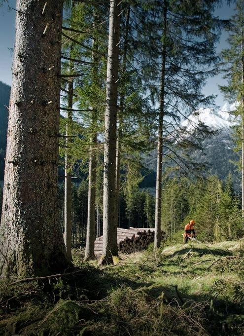 Shrnutí:: nižší spotřebou paliva až o 20% ve srovnání s klasickým 2-t motorem vyšší kroutící moment v širším pásmu otáček