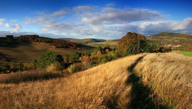 VÝROČNÍ ZPRÁVA MÍSTNÍ AKČNÍ SKUPINY REGION HANÁ, Z.S. ZA ROK 2017 2017 místní akční skupina R e g i o n H A N Á, z.