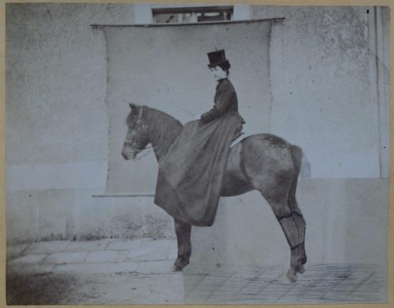 1878, fotografie, Státní zámek Rájec nad Svitavou Obrázek 166: Arnold