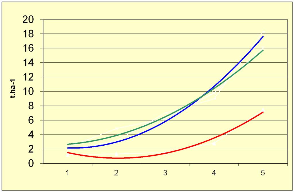 Dynamika tvorby sušiny (2002-2004) kvetení regenerace