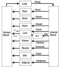 PBPK modely PBPK (PBTK) Physiologically based pharmacokinetic (toxicokinetic) models Vnitřní rozdělení