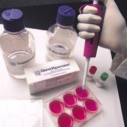 Výzkumy mechanismů toxicity in vitro
