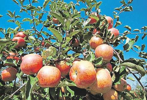 (dmk) pestrá nabídka poctivých farmářských potravin zmístních zdrojů, bio produktů, přírodní kosmetiky adrogerie adresa prodejny: alšovo náměstí 691/4, ostrava poruba 708 00 tel.